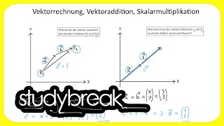 Vektorrechnung Vektoraddition Skalarmultiplikation  Wirtschaftsmathematik [upl. by Eeltrebor]