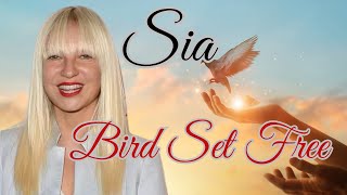 SIA  BIRD SET FREE LYRICS [upl. by Yelsehc134]