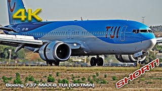 Shortest Flight 43 miles Boeing 737 Max8 TUI OOTMA [upl. by Follansbee888]