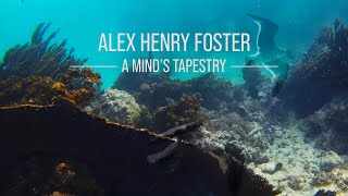 Alex Henry Foster  A Minds Tapestry Official Music Video [upl. by Anomer]