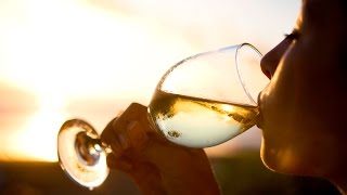 A winelovers guide to Pinot Grigio  The World of Wine [upl. by Asilram]