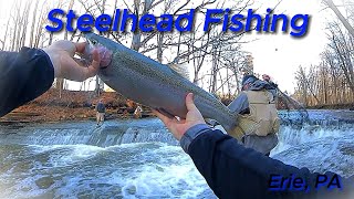 Steelhead Fishing  Erie PA [upl. by Akcimat]