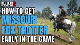 How to get Missouri Fox Trotter EARLY  RDR2 [upl. by Enyar]