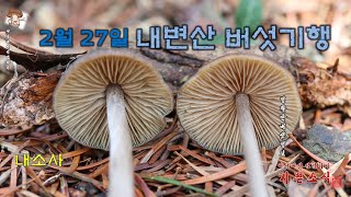 2024년 2월 27일 내변산 버섯기행내소사 [upl. by Florrie]