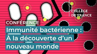 Immunité bactérienne  à la découverte dun nouveau monde  Aude Bernheim [upl. by Ajim]