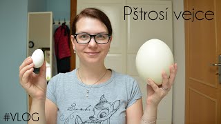 VLOG  Pštrosí vejce [upl. by Nimrac]