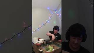 Live DIY Mini Succulent Gardens 🌿  Relax amp Hang with Me [upl. by Eihpos]