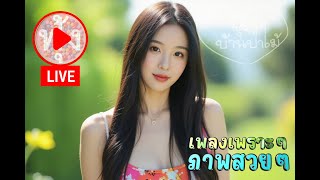 ฟังเพลง 24ชั่วโมง EP1537 ຟັງເພງຕະຫຼອດ 24 ຊົ່ວໂມງ ล่าสุด [upl. by Oniuqa]