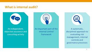 Internal Audit Performance [upl. by Cohbath]