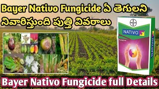 NATIVO FUNGICIDE FULL DETAILS IN TELUGU  Bayer Nativo Dose price in telugu bayer nativo in telugu [upl. by Edelson]