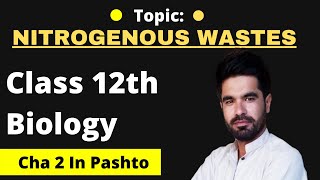 Types or forms of nitrogenous wastes  12th Biology in pashto  Home of biology [upl. by Jadd]