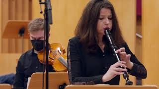 J S Bach 4 Brandenburgisches Konzert  BWV 1049 [upl. by Atinreb]