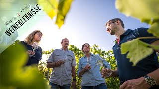 Weinprobe Weinkeller Führungen Weinwanderung  Erlebnis amp Urlaub im Weingut Walter J Oster Mosel [upl. by Essirehs]