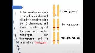 Introduction to genetics pedigree chart and Mendelian pattern of inheritance [upl. by Trill]