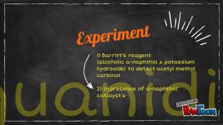 Enterobacter aerogenes VM1G1T1 [upl. by Ettenuj]