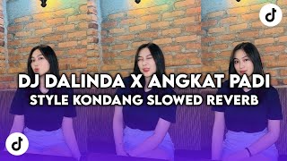 DJ DALINDA X ANGKAT PADI STYLE KONDANG SLOWED REVERB VIRAL TIK TOK YANG KALIAN CARI CARI [upl. by Kanal726]