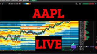 LIVE DAYTRADING AAPL Apple with BOOKMAP 111924 [upl. by Halland]