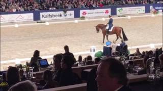 Expression KWPN Stallion Show 2017 [upl. by Lobell821]