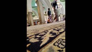 Thirteenth Travel Video…Saudi Arabia Medina Tourist Guide [upl. by Dnalevets]