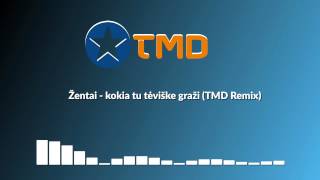 Žentai  kokia tu tėviške graži TMD Remix [upl. by Ayekat]