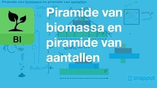 Biologie  Piramide van biomassa en piramide van aantallen [upl. by Eibocaj]