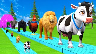 Paint amp Animals CowGorillaElephantGiraffeTigerLion Fountain Crossing Transformation Cartoon [upl. by Eltsirc]