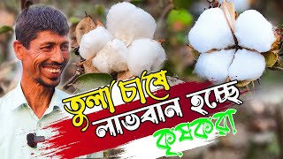 অর্থকরী ফসল  লাভজনক হওয়ায় অনেক কৃষকরাই ঝুঁকছেন তুলা চাষে তুলা চাষ পদ্ধতি  Cotton cultivation [upl. by Sakhuja]