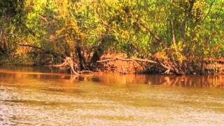 Un paseo por el Rio Grijalva Villahermosa Tabasco México [upl. by Adnalor]