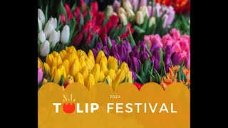 Tulip Festival 2024 melbourne [upl. by Winson636]