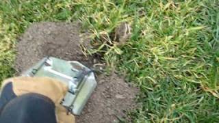 a good gopher catch in Cinch Trap [upl. by Irina]