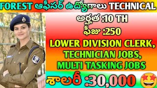 ICFRE అటవీ శాఖలో MTS FOREST DEPARTMANT TECHNICIAN LOWER DIVISION CLERK JOBS TELUGU SIVA [upl. by Akimad125]