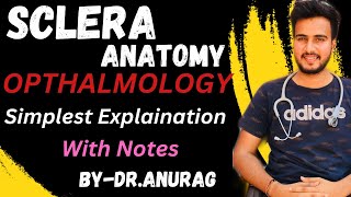 Sclera Anatomy of EyeStructure amp Layers of ScleraScleral Anatomy [upl. by Airom]