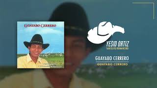 Guayabo cerrero Yesid Ortiz [upl. by Hosbein]