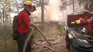 Massive Swedish forest fire is declared a national emergency [upl. by Ihcelek]