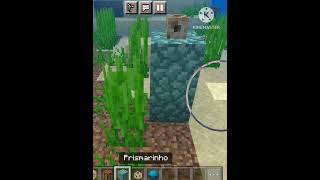 COMO ATIVAR O AQUEDUTO DO MINECRAFT minecraft minecraftshorts minecraftcuriosidades [upl. by Llennyl]