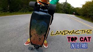 Landyachtz New TOP CAT Fade  Ride in the Park topcat longboarding skatergirl dhlife landyachtz [upl. by Bethesda]