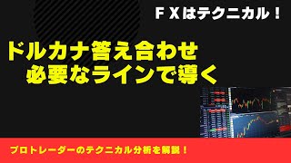 ドルカナ答え合わせ／分析に必要なラインで導く [upl. by Lemaj]