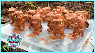 Paw Patrol Mighty Pups Covered in Mud Can You Help Us Clean Them [upl. by Sang]