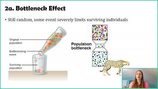 Mechanisms of Change Gene Flow Genetic Drift and Nonrandom Mating [upl. by Polinski]