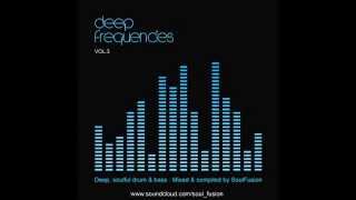 Deep Frequencies Vol 3 Drum amp Bass Mix March 2014 [upl. by Hamner]