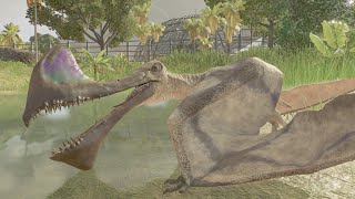 Life of a Tropeognathus [upl. by Watkins]