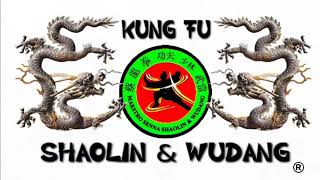 Kung Fu Northern Shaolin 北少林 Siu Lum Mo I Wu Yi Norteño kung fu [upl. by Akere]