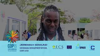 Jeremiah Edmund from Saint Lucia speaks on major outcome at COP16 [upl. by Eeloj]