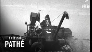 Wheat Harvesting 1948 [upl. by Leikeze]