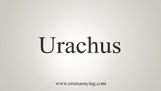 How To Say Urachus [upl. by Dnaltiak800]