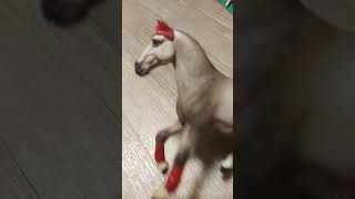 horse schleich random video [upl. by Orelle]