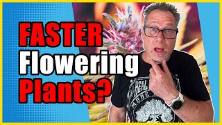 Get Your Cannabis Plants to Harvest 10 Days Faster [upl. by Leiruh480]