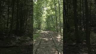 🇨🇦 Exploring Canadas Forgotten Abandoned Railway Tracks [upl. by Enileme437]