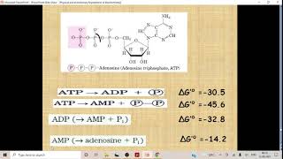 High and Low energy compounds [upl. by Eeral]