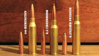 260 Remington vs 65 Creedmoor vs 65x55 Swede Which 65 Is Best For You [upl. by Amre]